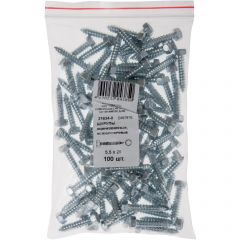 Шурупы Хват (Hvat) оцинкованные, остроконечные DIN7976, 5,5х25 мм 100 шт, 21634-0