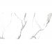 Керамогранит Royce (Ройс) Alps Statuario 60x120 см Polished R_PR2001