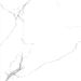 Керамогранит Royce (Ройс) Calacatta Venatino 60x60 см Matt R_NR1001