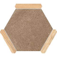 Керамогранит Monopole Avant sacramento marron pino 22x25 см