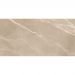Керамогранит New Trend (Нью Тренд) Essential Marron полированный 60х120 см 60120ESE21P