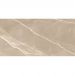Керамогранит New Trend (Нью Тренд) Essential Marron полированный 60х120 см 60120ESE21P