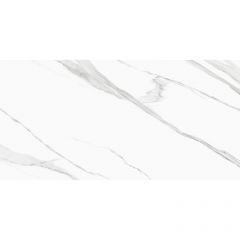 Керамогранит New Trend (Нью Тренд) Life Calacatta матовый 60x120 см, D120239M