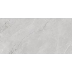 Керамогранит Infinity Ceramica Astonia Silver Glossy Silver Line 60x120 см