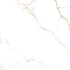 Керамогранит Primavera Bellevue Gold polished 60х60 см PR126