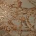 Керамогранит Primavera (Примавера) Golden Stone grit granula 60х120 см GG205
