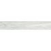 Керамогранит Primavera (Примавера) Branch White WD105 20х120х0,9 см