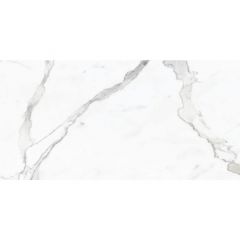 Керамогранит Dogma Project Antibacterial Venato Silk Natural Rettificato 60x120 см (DPA601236SN)