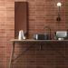Керамогранит Equipe (Эквип) Argile Cotto 6x24,6 см