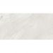 Керамогранит LCM (ЛКМ) Argenta Gray матовый карвинг 60х120 см 60120RGE15M