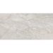 Керамогранит Artceramic Stonico Oyster Grey 60x120 см Glossy