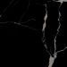 Керамогранит Eurotile Rus (Евротаил Рус) Statuario Black Pol 60x60 см, 7930138705122