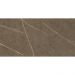 Керамогранит Basconi Home (Баскони Хоме) Stone Коричневый 60х120 см BHM-5009