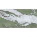 Керамогранит Basconi Home (Баскони Хоме) Jungle Stone Full Body Polished Зеленый 60x120 см BHW-0046
