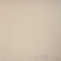 Керамогранит Грани Таганая (Grani Taganaya) GT100A Профи бежевый 60х60 см антискользящий