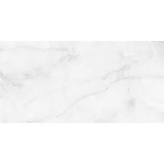 Керамогранит Staro Palacio Antisky Grey Light 60x120 см Polished С0005123