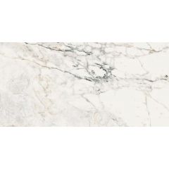 Керамогроанит La Faenza Aesthetica AE PAO6 12 LP 60х120 см