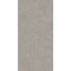 Керамогранит Foshan Cardshuo Morandi grey 612TEX052 matt 60х120 см (925111)