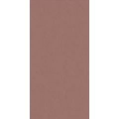 Керамическая плитка ABK Ceramiche Wide&Style Mini Paprika Ret 60х120 см (PF60008237)