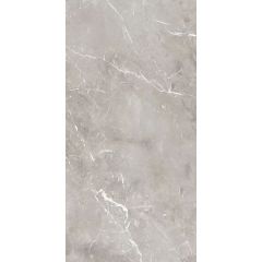 Керамогранит Ariana Epoque grey 60х120 см (PF60004297)