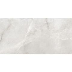 Керамогранит Golden Silk Matt Серый 60х120 см Матовый (FNS6126)