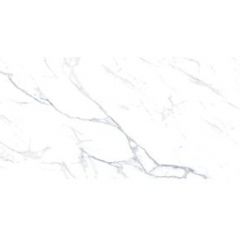 Керамогранит Golden Silk Polished Белый 60х120 см Полированный (SDM126634P)