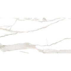 Керамогранит Sonex Statuario Valencia Белый 60х120 см Матовый (HARMONY GRIS 60*120 CARVING)