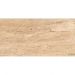 Керамогранит Absolut Gres (Абсолют Грес) Travertino Brown матовый 120x60 см, AB1094M
