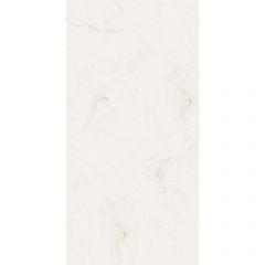 Керамогранит Absolut Gres Onix ICE полированный 120x60 см, AB1012G