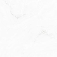 Керамогранит Absolut Gres Profitland Bianco полированный 60x60 см, AB1022G