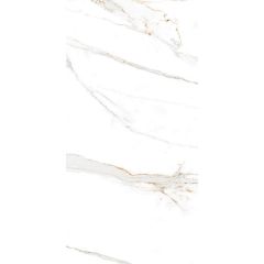 Керамогранит Absolut Gres Regal Carrara полированный 60х120 см, AB1144G