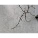 Керамогранит 41zero42 Solo Grey 40x80 см