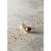 Керамогранит 41zero42 Superclassica Scg Patchy 60x120 см