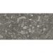 Керамогранит Avroria (Аврория) AS22-13 Mappa Marble серый террацо 120х60 см