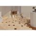 Керамогранит Wow (Вау) Roots Sand S 11x11 см
