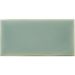 Керамическая плитка Wow (Вау) Fayenza Fern 6,25x12,5 см