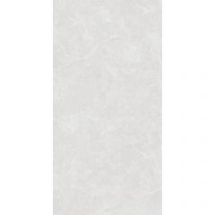 Керамогранит Arcadia Ceramica (Аркадиа Керамика) Oviedo Silver Solido 60х120 см, SL1003-A