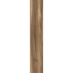 Керамогранит Creanza (Креанза) Fossil Wood Wenge 20х120 см, CW-RT10-B