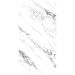 Керамогранит Креанза Lucido White 120x60 см BS1003-A, Creanza