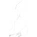 Керамогранит Креанза Statuario Fine 120x60 см CP4005-A, Creanza