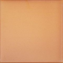 Клинкерная плитка напольная Canada Gres (Каньяда Грес) Natura 016 Terra 24.4х24.4х1.4 см