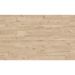 Керамогранит Kerastep (Керастеп) Amazonia 1221 Base R9 20х120х0.9 см