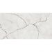 Керамическая плитка Eurotile IND (Евротайл Инд) Kanpur Luster 30x60 см, 7930138703579