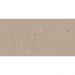 Керамогранит Arcana Ceramica (Аркана Керамика) Croccante-R Avellana 60x120 см, ARC_8ZD5