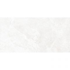 Плитка облицовочная Alma Ceramica Persey 249х500 TWU2550PRS07