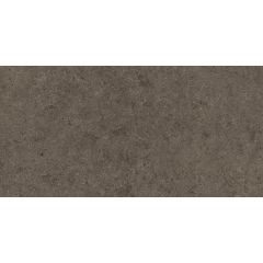 Керамогранит Atlas Concorde Boost Stone Tobacco (A6Ra) 60x120 см
