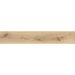 Керамогранит Atlas Concorde (Атлас Конкорд) Exence Vanilla (Ao47) 20x120 см