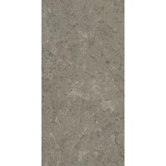 Керамогранит Atlas Concorde Marvel Meraviglia Grigio Elegante (Ajiu) 60x120 см