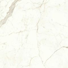 Керамогранит Atlas Concorde Marvel Calacatta Prestigio Matt (A4Q5) 120x120 см