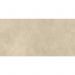Керамогранит Atlas Concorde (Атлас Конкорд) Boost Expression Tan 60x120 см, AYUZ